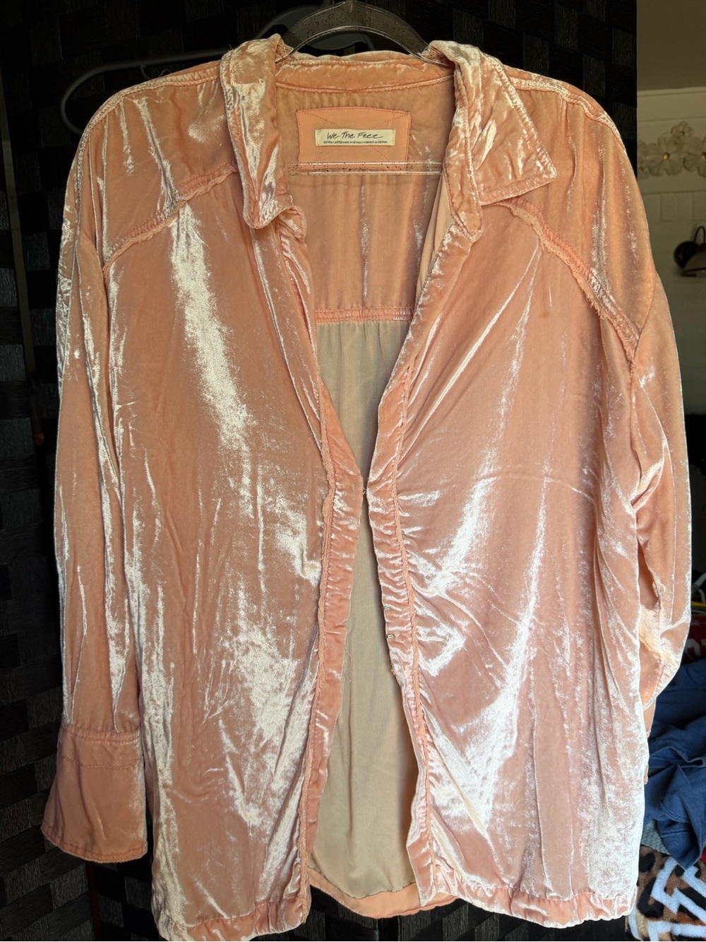 We The Free Blush Pink Velvet Button-Down